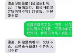 泌阳为什么选择专业追讨公司来处理您的债务纠纷？